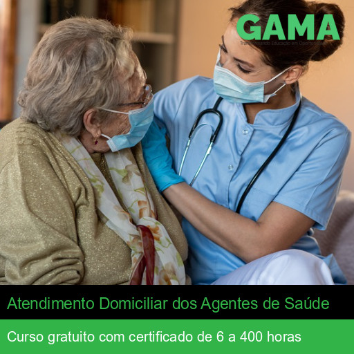 Atendimento Domiciliar dos Agentes de Saúde